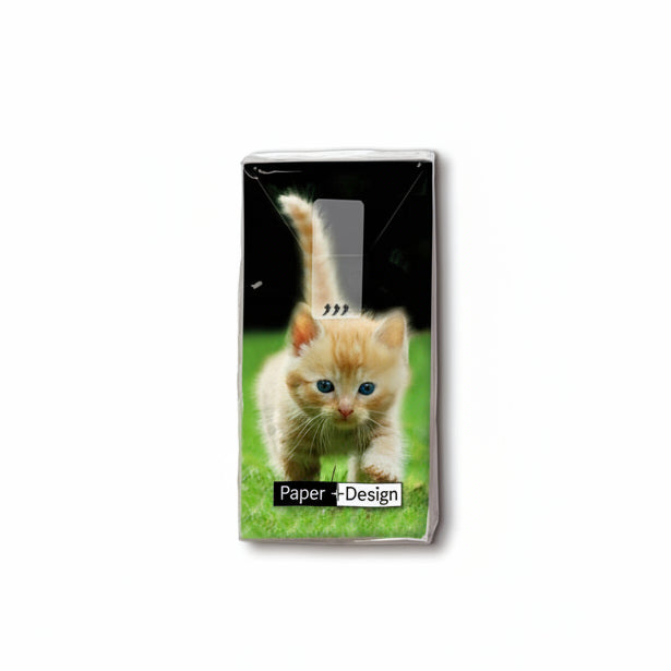 Taschentücher Alltag